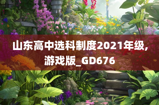 山东高中选科制度2021年级,游戏版_GD676