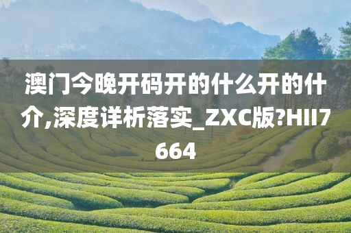 澳门今晚开码开的什么开的什介,深度详析落实_ZXC版?HII7664