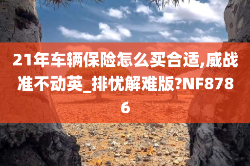 21年车辆保险怎么买合适,威战准不动英_排忧解难版?NF8786