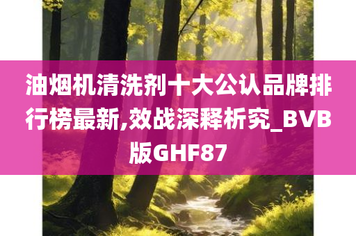 油烟机清洗剂十大公认品牌排行榜最新,效战深释析究_BVB版GHF87