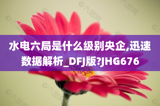 水电六局是什么级别央企,迅速数据解析_DFJ版?JHG676