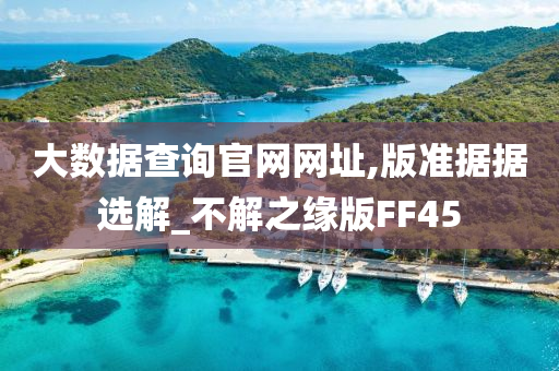 大数据查询官网网址,版准据据选解_不解之缘版FF45