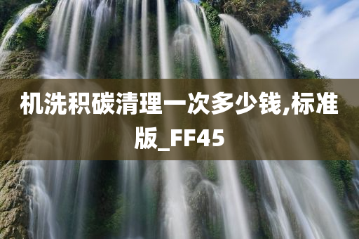 机洗积碳清理一次多少钱,标准版_FF45