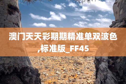 澳门天天彩期期精准单双波色,标准版_FF45