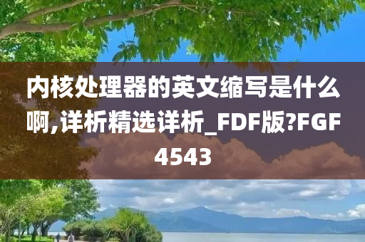 内核处理器的英文缩写是什么啊,详析精选详析_FDF版?FGF4543