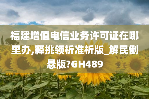 福建增值电信业务许可证在哪里办,释挑领析准析版_解民倒悬版?GH489