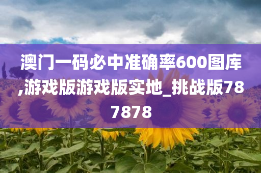 澳门一码必中准确率600图库,游戏版游戏版实地_挑战版787878