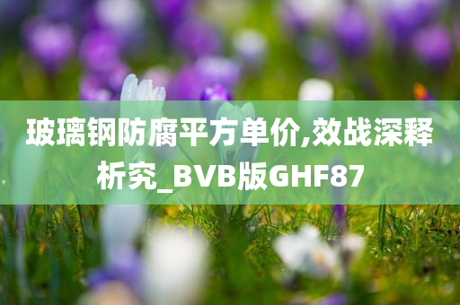 玻璃钢防腐平方单价,效战深释析究_BVB版GHF87