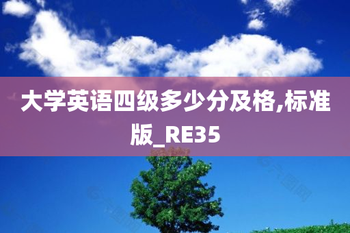 大学英语四级多少分及格,标准版_RE35