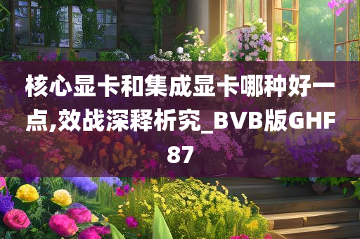 核心显卡和集成显卡哪种好一点,效战深释析究_BVB版GHF87