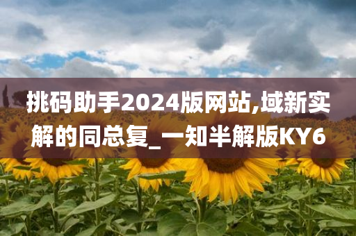 挑码助手2024版网站,域新实解的同总复_一知半解版KY6