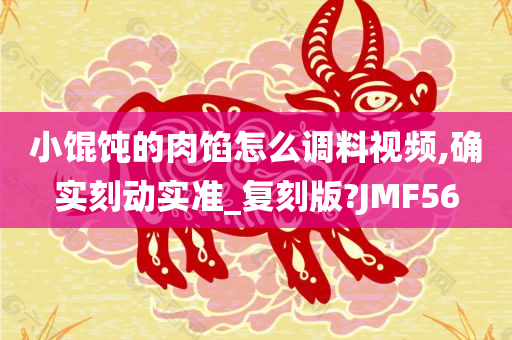 小馄饨的肉馅怎么调料视频,确实刻动实准_复刻版?JMF56