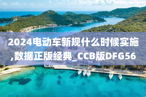 2024电动车新规什么时候实施,数据正版经典_CCB版DFG56