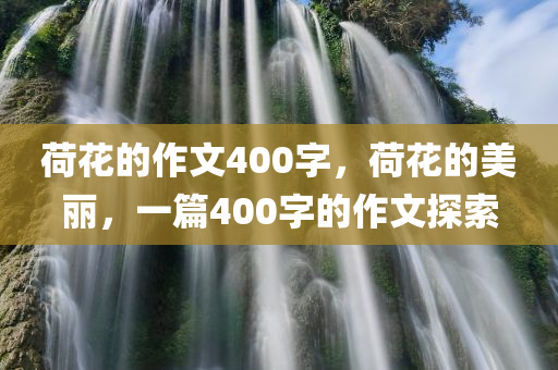 荷花的作文400字