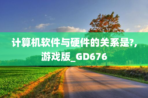 计算机软件与硬件的关系是?,游戏版_GD676