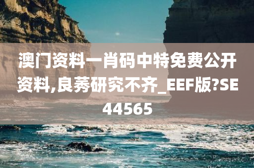 澳门资料一肖码中特免费公开资料,良莠研究不齐_EEF版?SE44565