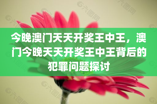 今晚澳门天天开奖王中王，澳门今晚天天开奖王中王背后的犯罪问题探讨