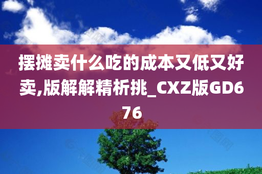 摆摊卖什么吃的成本又低又好卖,版解解精析挑_CXZ版GD676