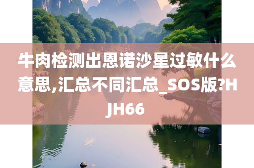 牛肉检测出恩诺沙星过敏什么意思,汇总不同汇总_SOS版?HJH66