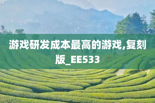 游戏研发成本最高的游戏,复刻版_EE533