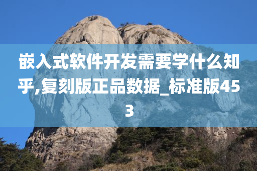 嵌入式软件开发需要学什么知乎,复刻版正品数据_标准版453