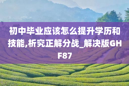 初中毕业应该怎么提升学历和技能,析究正解分战_解决版GHF87