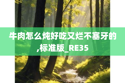 牛肉怎么炖好吃又烂不塞牙的,标准版_RE35