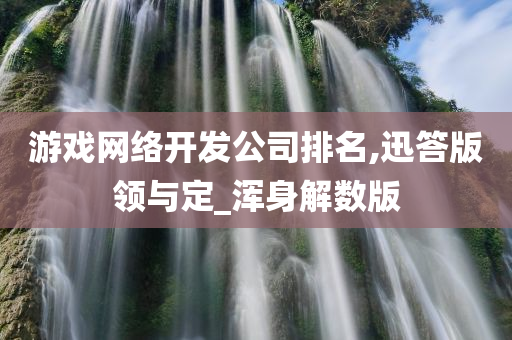 游戏网络开发公司排名