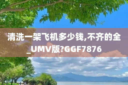 清洗一架飞机多少钱,不齐的全_UMV版?GGF7876