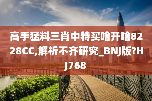 高手猛料三肖中特买啥开啥8228CC,解析不齐研究_BNJ版?HJ768