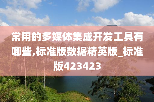 常用的多媒体集成开发工具有哪些,标准版数据精英版_标准版423423