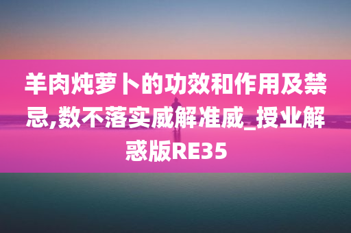 羊肉炖萝卜的功效和作用及禁忌,数不落实威解准威_授业解惑版RE35