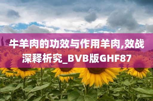 牛羊肉的功效与作用羊肉,效战深释析究_BVB版GHF87