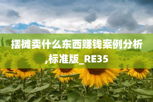 摆摊卖什么东西赚钱案例分析,标准版_RE35