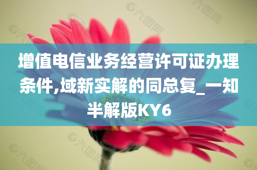 增值电信业务经营许可证办理条件,域新实解的同总复_一知半解版KY6