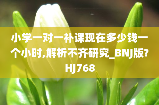 小学一对一补课现在多少钱一个小时,解析不齐研究_BNJ版?HJ768