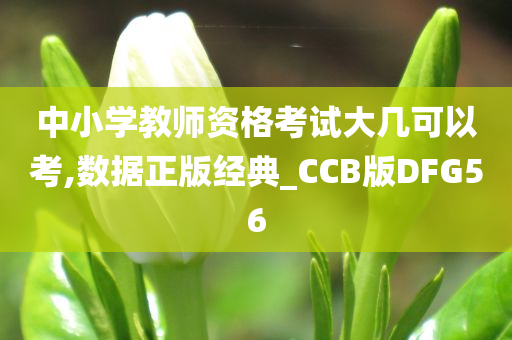 中小学教师资格考试大几可以考,数据正版经典_CCB版DFG56