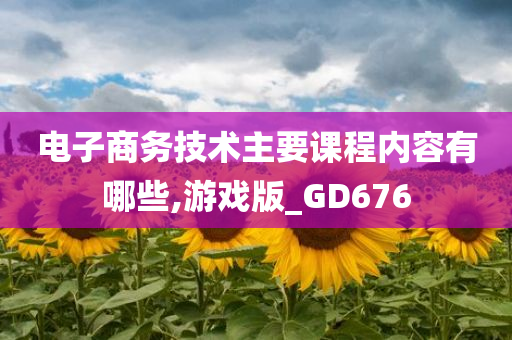 电子商务技术主要课程内容有哪些,游戏版_GD676