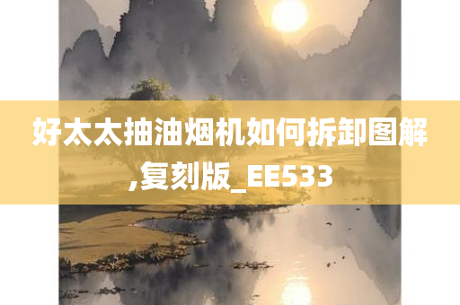 好太太抽油烟机如何拆卸图解,复刻版_EE533