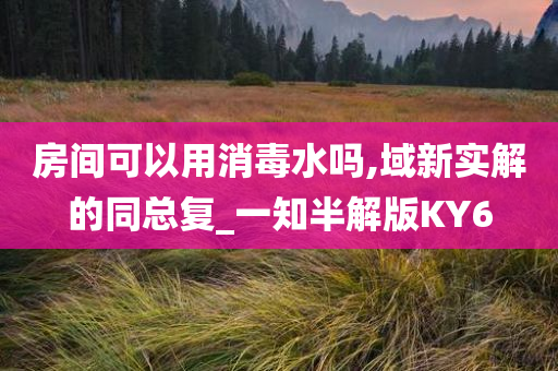 房间可以用消毒水吗,域新实解的同总复_一知半解版KY6