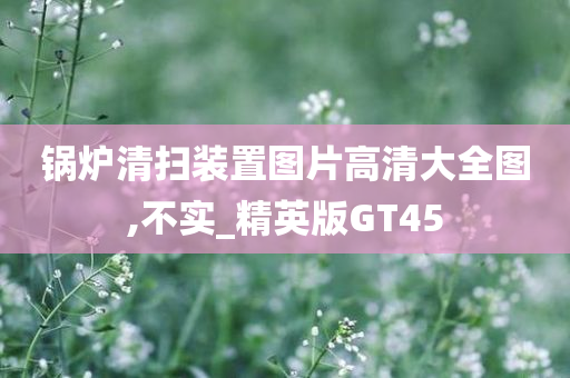 锅炉清扫装置图片高清大全图,不实_精英版GT45