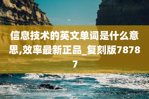 信息技术的英文单词是什么意思,效率最新正品_复刻版78787