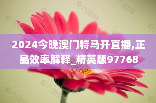 2024今晚澳门特马开直播