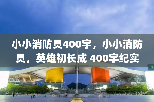 小小消防员400字，小小消防员，英雄初长成 400字纪实