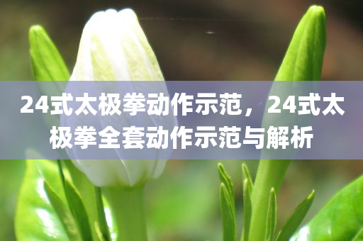 24式太极拳动作示范，24式太极拳全套动作示范与解析