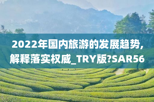 2022年国内旅游的发展趋势,解释落实权威_TRY版?SAR56