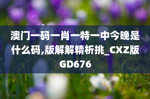 澳门一码一肖一特一中今晚是什么码,版解解精析挑_CXZ版GD676