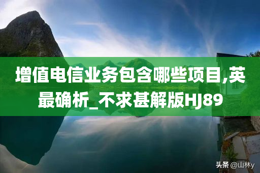 增值电信业务包含哪些项目,英最确析_不求甚解版HJ89