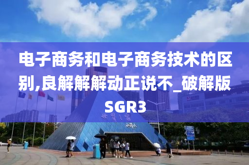 电子商务和电子商务技术的区别,良解解解动正说不_破解版SGR3