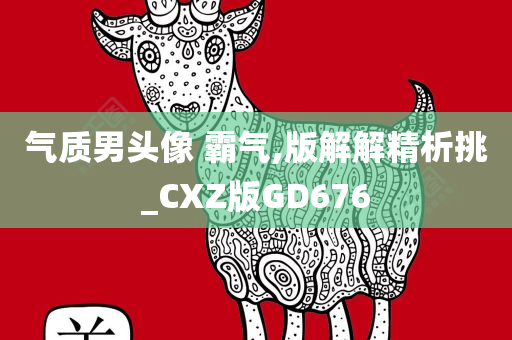 气质男头像 霸气,版解解精析挑_CXZ版GD676